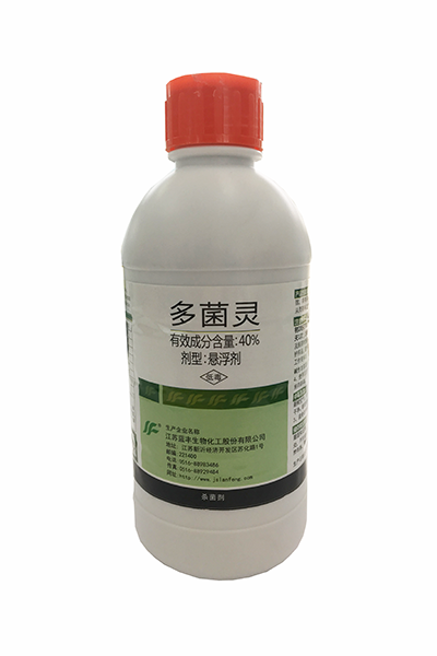  500g大富生